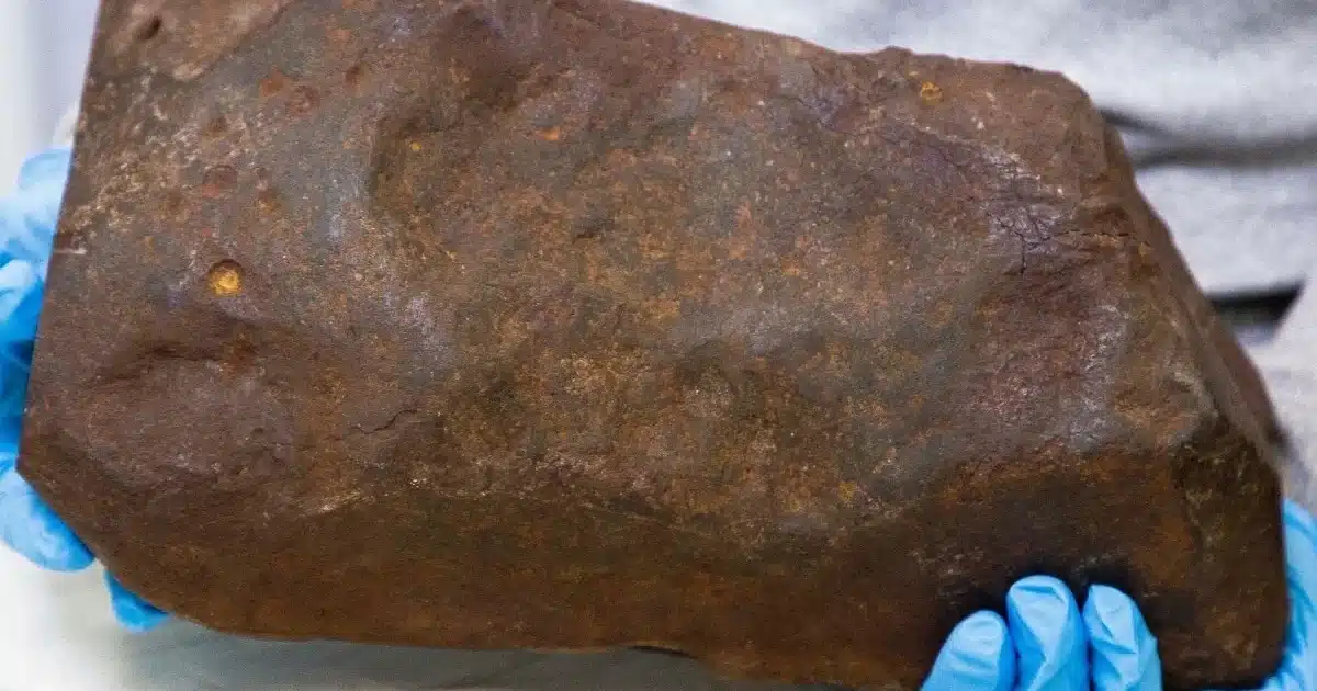 Man Keeps Rock For Years, Hoping It's Gold. It Turned Out to Be Way More Valuable