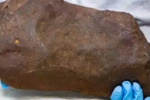 Man Keeps Rock For Years, Hoping It's Gold. It Turned Out to Be Way More Valuable